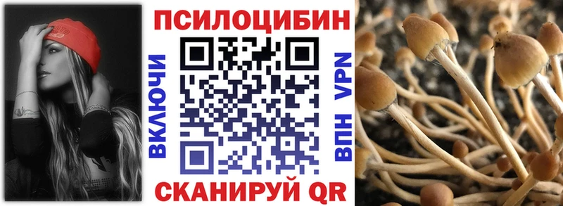 купить   Арск  Псилоцибиновые грибы мицелий 